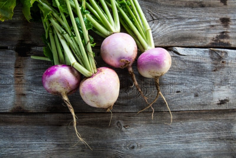 fresh turnips